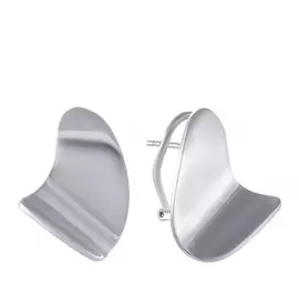 Серьги из серебра PC170059BK-1811_SR_WG