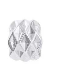 Серьги из серебра RNF1108-2SSRP_SR_WG