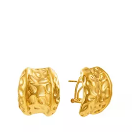 Серьги из серебра RNF1122-2SSDC_SR_YG