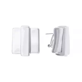 Серьги из серебра RNF1123-2SSRP_SR_WG