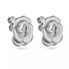 Серьги-пусеты из серебра 2-025-0000