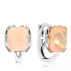 Серьги с английским замком из золота D0001176306000