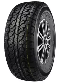 Летние шины Compasal