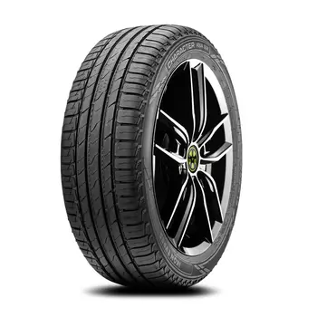 Летние шины Ikon (Nokian Tyres)
