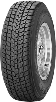 Зимние шины Roadstone