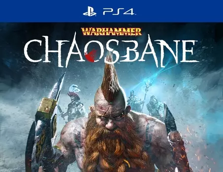 Warhammer: Chaosbane (PS4)