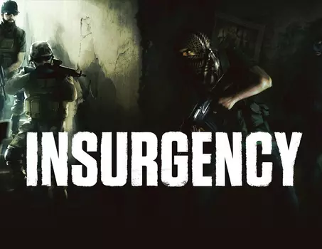 Insurgency (PC)