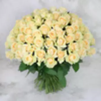 Букет из 101 лимонно-кремовой розы