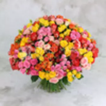 Букет из 101 разноцветной кустовой розы