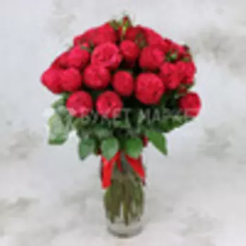 Букет из 25 красных пионовидных роз
