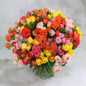 Букет из 51 разноцветной кустовой розы