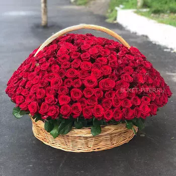 501 Красная Роза в Корзине