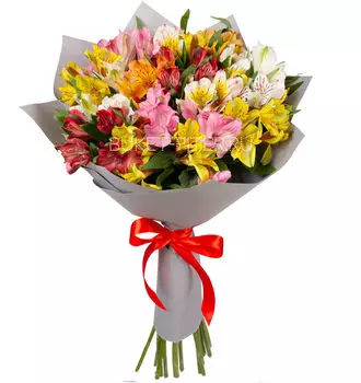 Букет Альстромерий Разноцветных в Матовой упаковке
