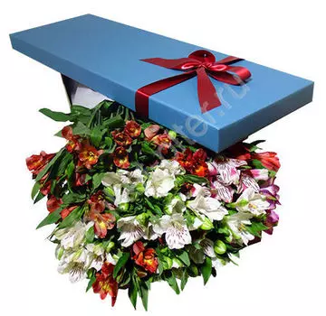 Букет альстромерий в голубой коробке