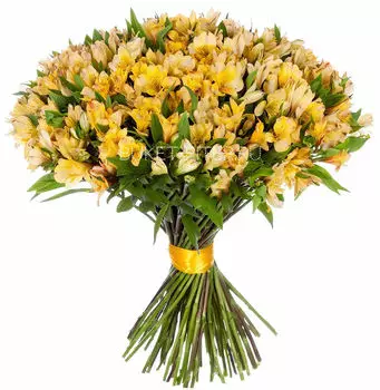 Букет Альстромерий Желтых в Атласной ленте