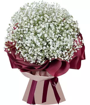 Букет Белой Гипсофилы в Матовой упаковке