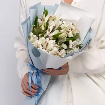 Букет Белых Альстромерий в Матовой упаковке