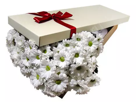 Букет белых хризантем в белой коробке