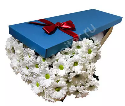 Букет белых хризантем в голубой коробке