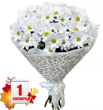 Букет Белых Кустовых Хризантем