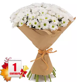 Букет Белых Пышных Ромашковых Хризантем