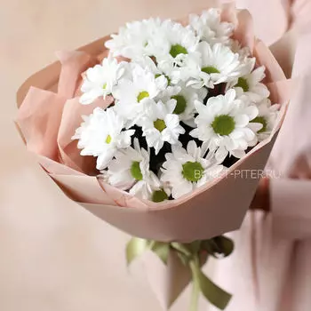 Букет Белых Ромашковых Хризантем в Оформлении