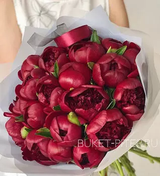 Букет Бордовых Пионов №12