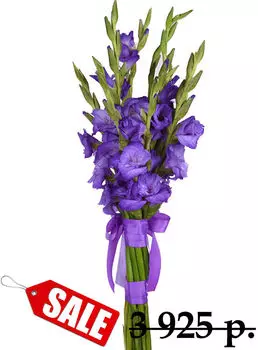 Букет Фиолетовых Гладиолусов