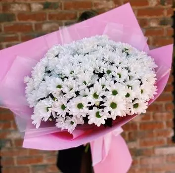 Букет Гигант из Ромашковых Хризантем