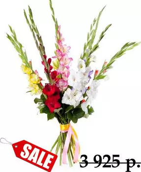 Букет Гладиолусов MiX