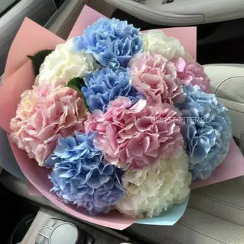 Букет Гортензий в Матовой упаковке LUX