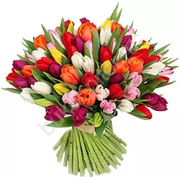 Букет из 101 Разноцветного Тюльпана "Подруге"