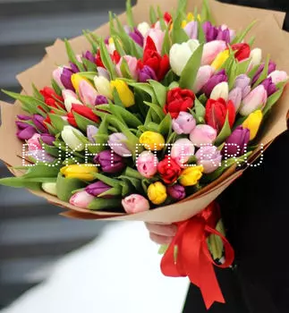 Букет из 101 Разноцветного Тюльпана в Крафте