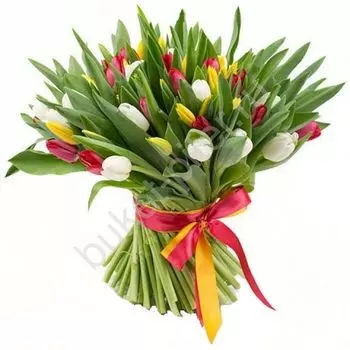 Букет из 101 Тюльпана "Любимой Тёте"