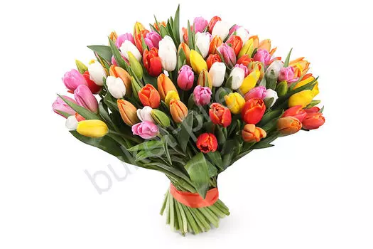 Букет из 101 Тюльпана Микс "Красочный"