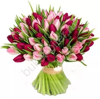 Букет из 101 Тюльпана "Праздничный"