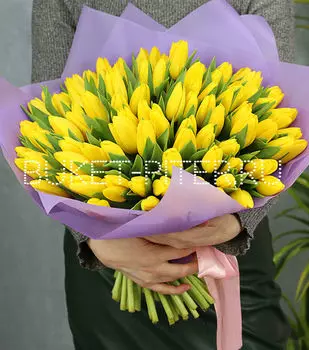 Букет из 101 Желтого Тюльпана в Сиреневой Упаковке
