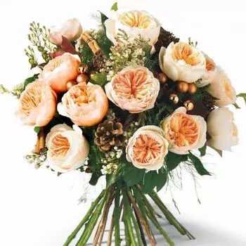 Букет из 11 пионовидных роз