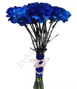 Букет из 13 синих гвоздик