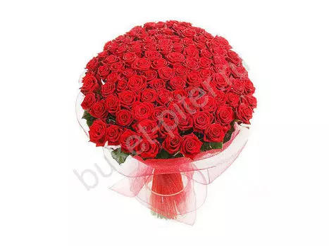 Букет из 151 розы