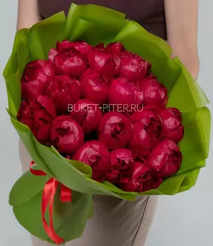 Букет из 15 Бордовых Пионов в Матовой упаковке LUX