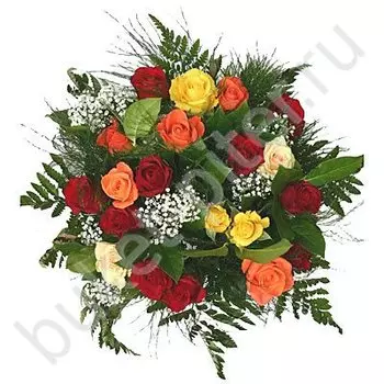 Букет из 21 разноцветной розы и гипсофилы