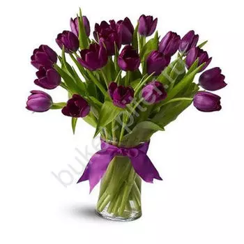 Букет из 25 фиолетовых тюльпанов