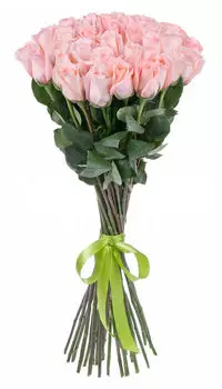 Букет из 25 Розовых Роз Эквадор 70см