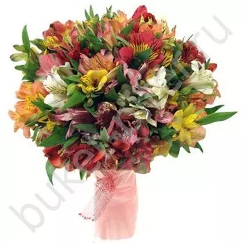 Букет из 29 разноцветных альстромерий
