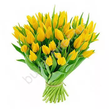 Букет из 45 желтых тюльпанов