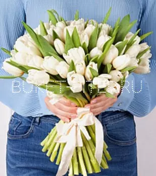 Букет из Белого Тюльпана в атласной ленте