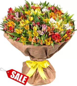 Букет из 51-ой Альстромерии в Упаковке