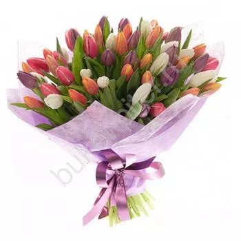 Букет из 51 разноцветного тюльпана