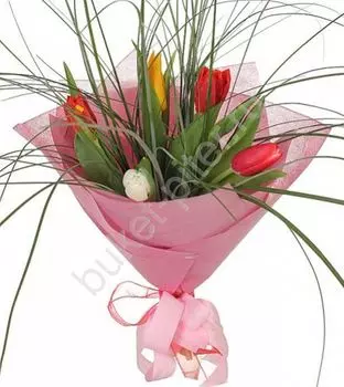 Букет из 5-ти тюльпанов в упаковке с Берграссом